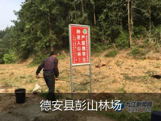 德安县彭山林场
